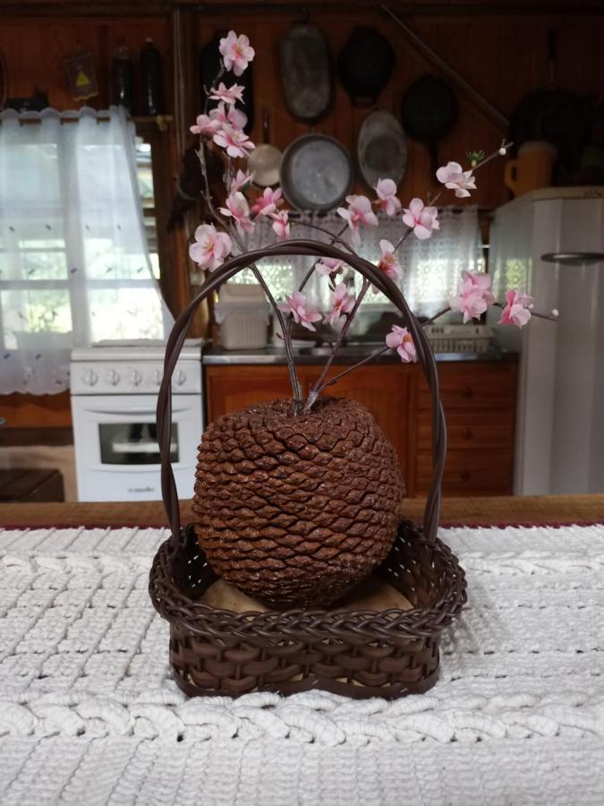 Casa Aconchegante Em Urubici 빌라 외부 사진